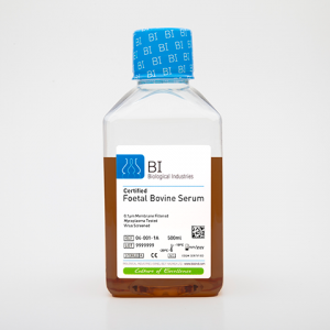 Fetal Bovine Serum