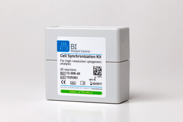 Cell Synchronization Kit