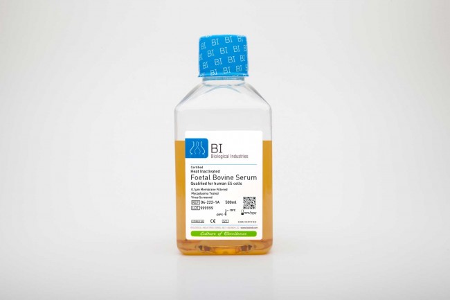 Fetal Bovine Serum, US Origin, Heat Inactivated Qualified for Human ...