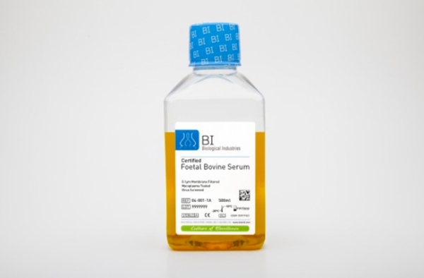 Fetal Bovine Serum (FBS), US Origin, Qualified for Mesenchymal Stem Cells