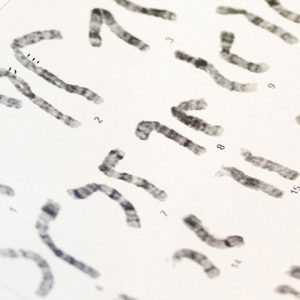 Karyotyping Reagents