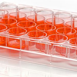 Cell Culture Reagents