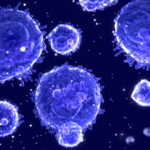 Peripheral Blood Lymphocytes