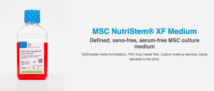 MSC Nutristem mesenchymal stem cells image and description