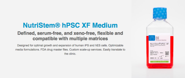 Nutristem hPSC for pluripotent stem cells image and description